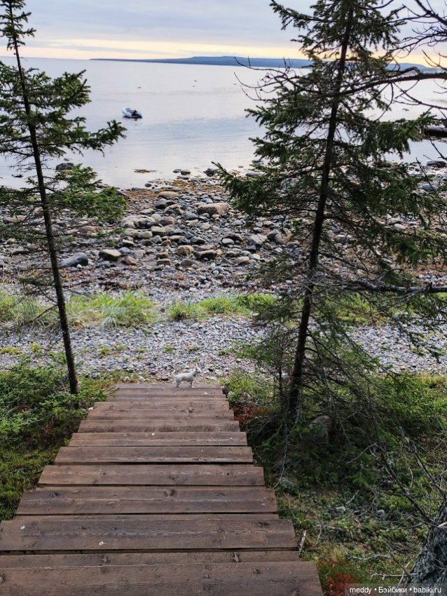 Хроники Исабель. Воспоминание о лете