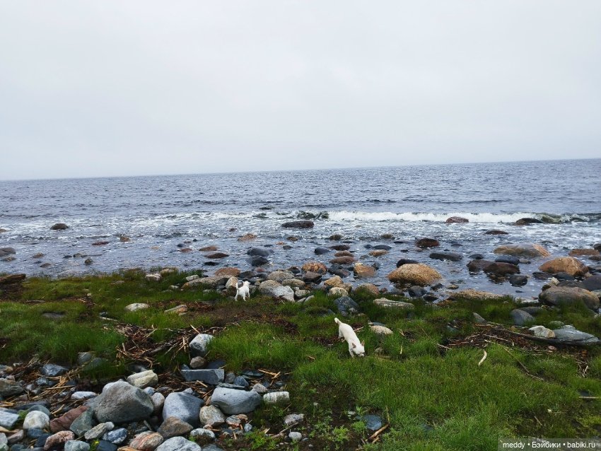 Хроники Исабель. Воспоминание о лете