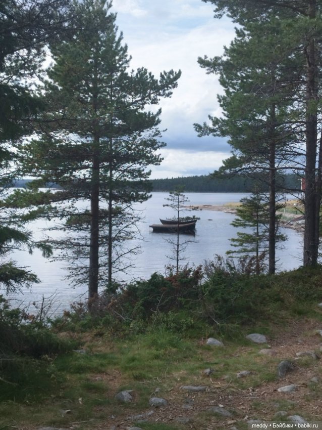 Хроники Исабель. Воспоминание о лете