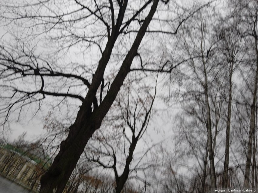 Lori идеальная туристка в Питере