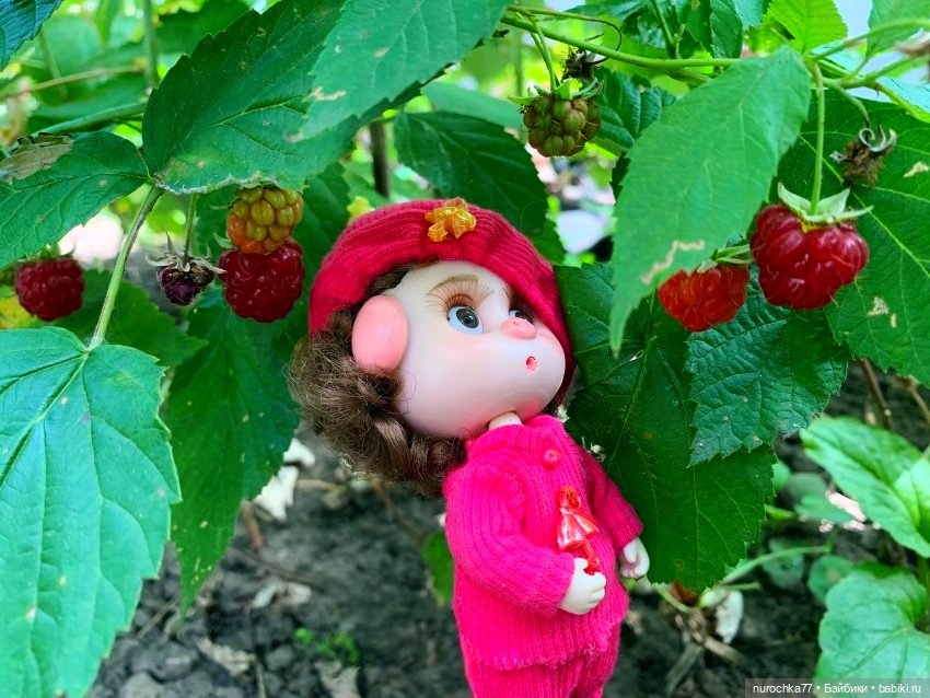 Про Нафочку. Сердце огорода