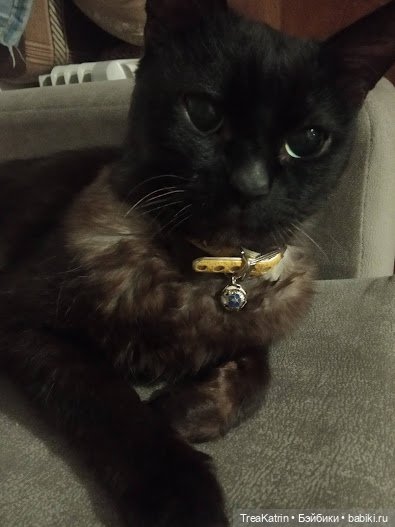 Маргарита — Домашние фото авторских кукол: личные коллекции (фото 5)