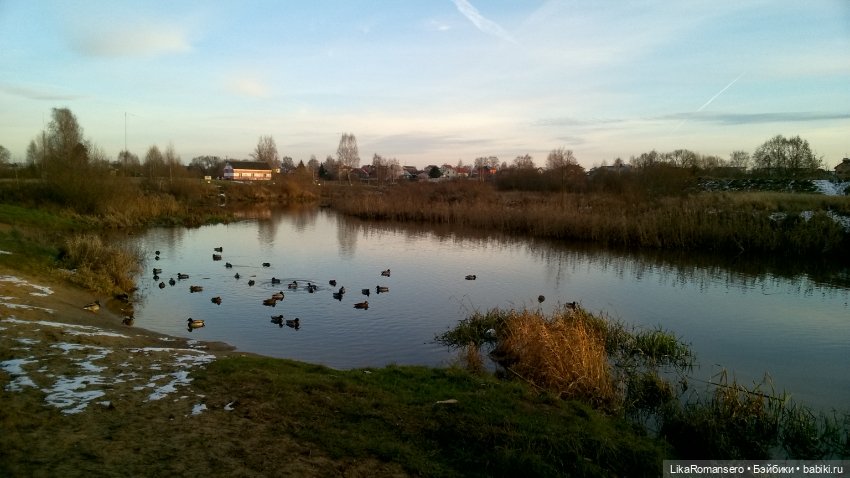 Пятничная прогулка Чон Гука (фото 9)