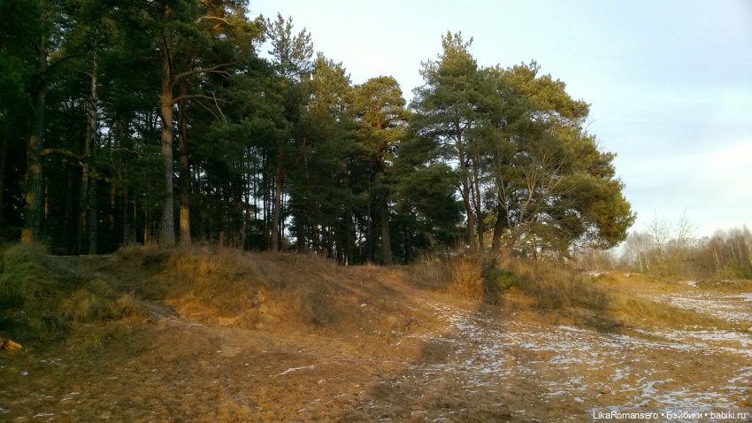 Пятничная прогулка Чон Гука (фото 10)