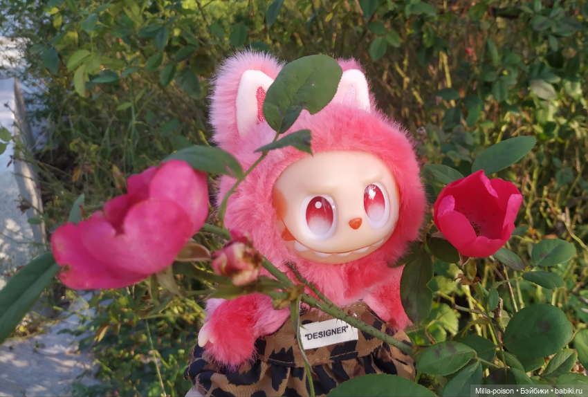 Прогулка Игнатьевны в новом платье в парке Байшиюань