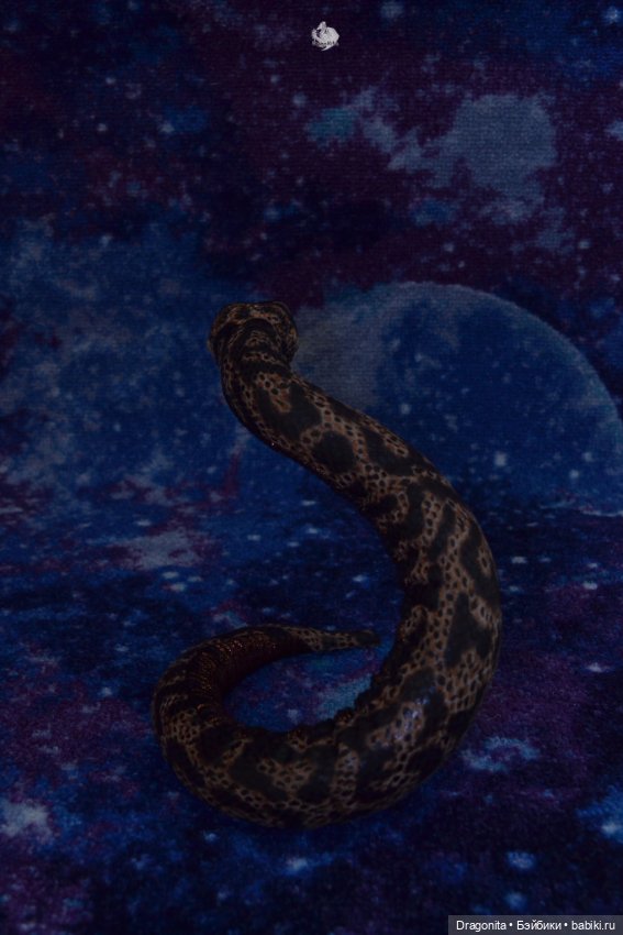 Свиноносый ужик — Авторские текстильные куклы: Вальдорфские (фото 5)