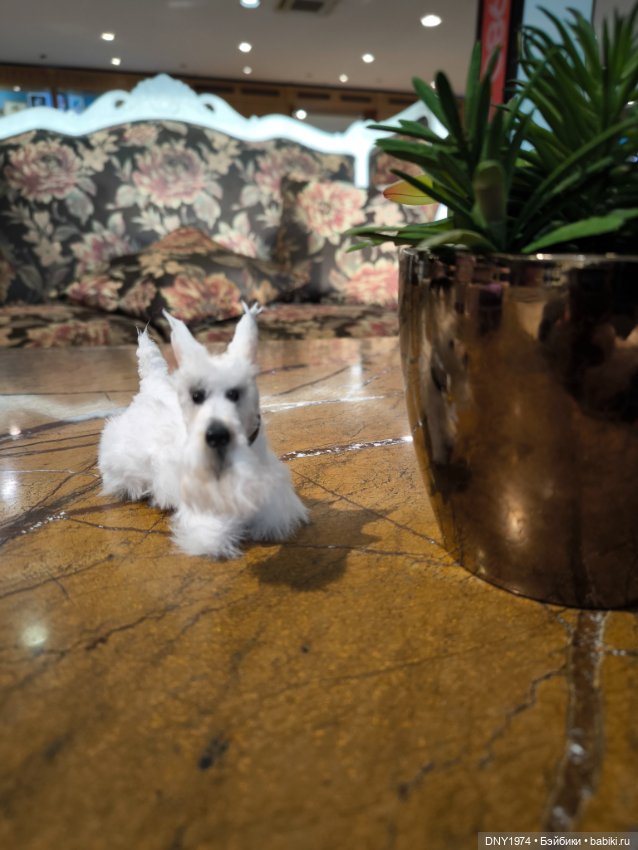 Мой поход на Доллсток — Выставки кукол и мишек Тедди: фоторепортажи