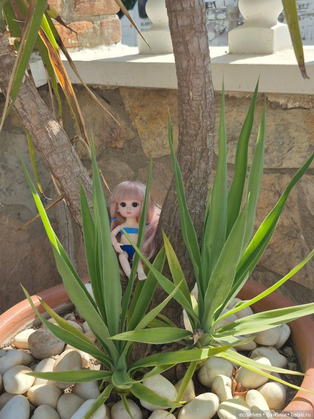 Песенка про баболи-путешествие экоэльфов и ребят по Турции:-) (фото 6)