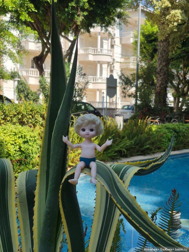 Песенка про баболи-путешествие экоэльфов и ребят по Турции:-) (фото 8)