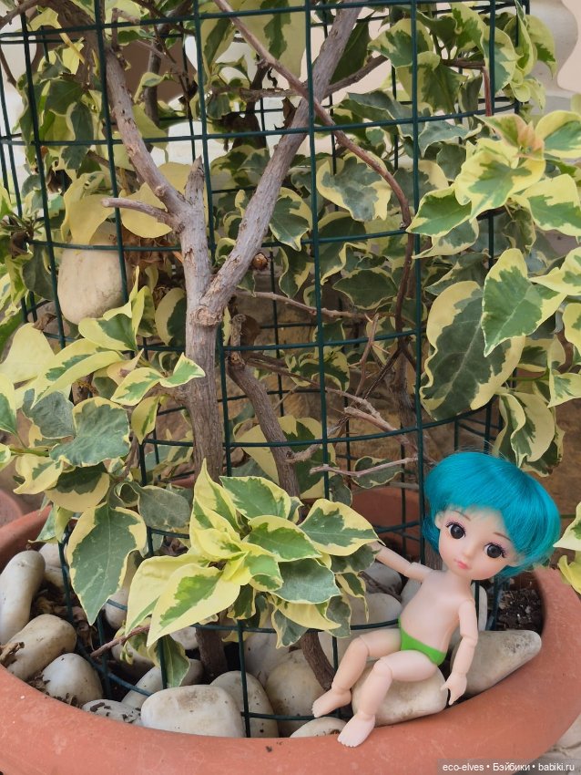 Песенка про баболи-путешествие экоэльфов и ребят по Турции:-) (фото 5)