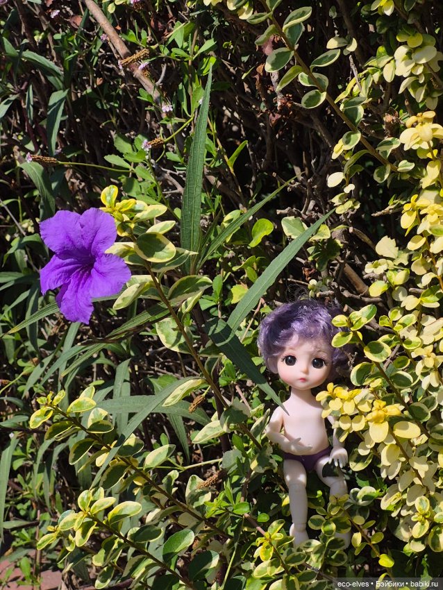 Песенка про баболи-путешествие экоэльфов и ребят по Турции:-) (фото 9)