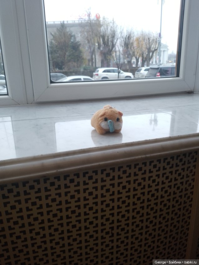 Кот Вася — Интересные игрушки и фигурки (разное): редкие (фото 2)