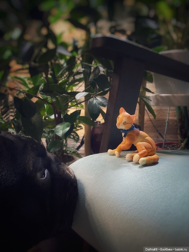 Авторские куклы BJD (БЖД) у нас дома: фото