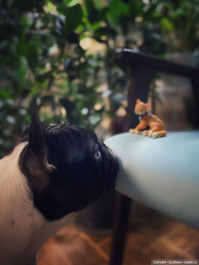 Авторские куклы BJD (БЖД) у нас дома: фото