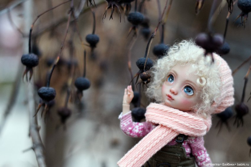 Про то, как Агнешка упала с пушки