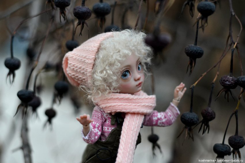 Про то, как Агнешка упала с пушки