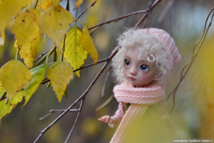 Про то, как Агнешка упала с пушки (фото 10)