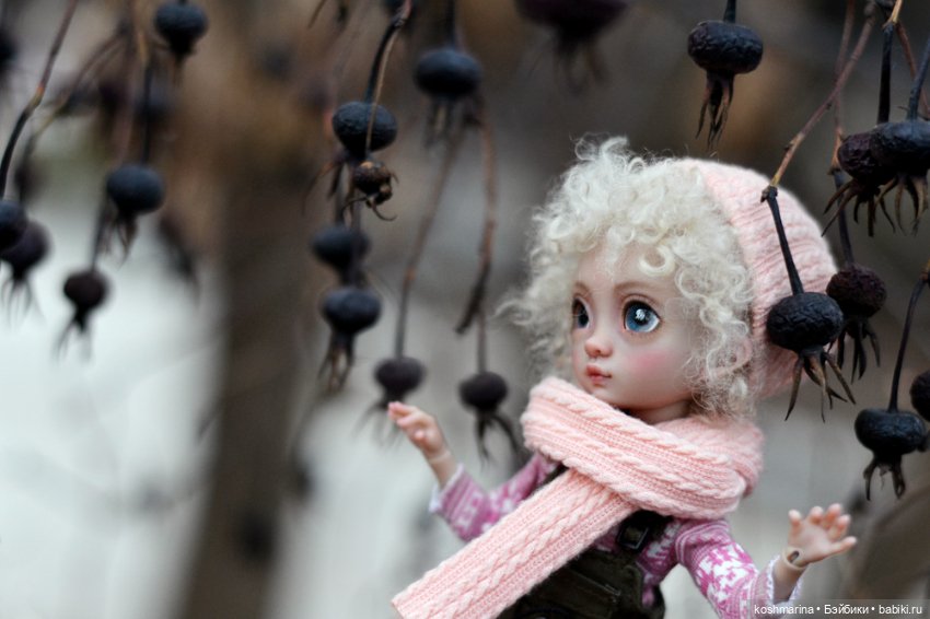 Про то, как Агнешка упала с пушки