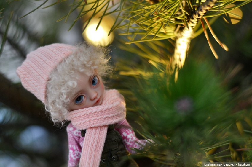 Про то, как Агнешка упала с пушки (фото 3)