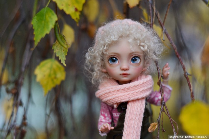 Про то, как Агнешка упала с пушки