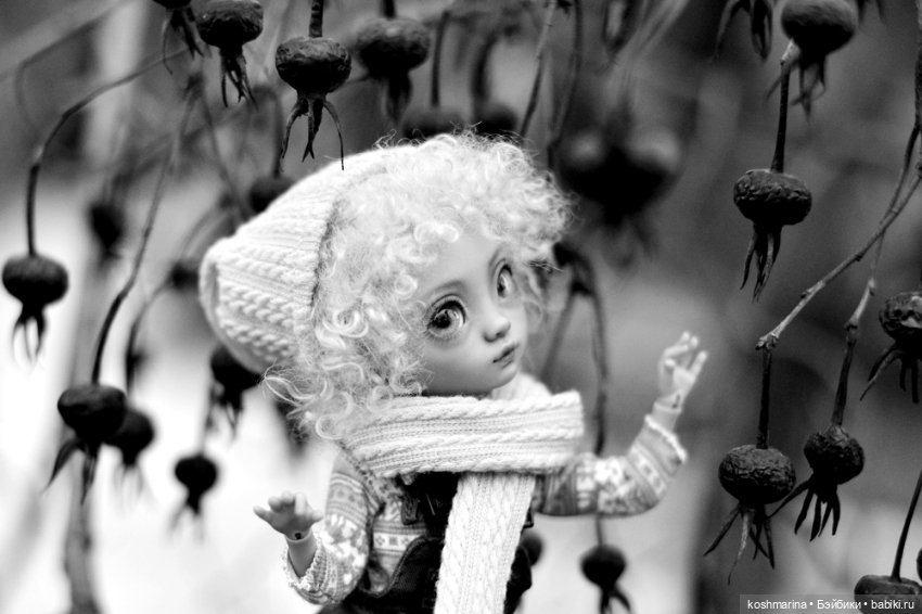 Про то, как Агнешка упала с пушки