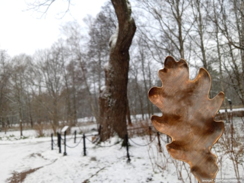 "Привносишь себя как реактив (фото 9)