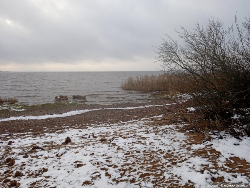 "Привносишь себя как реактив