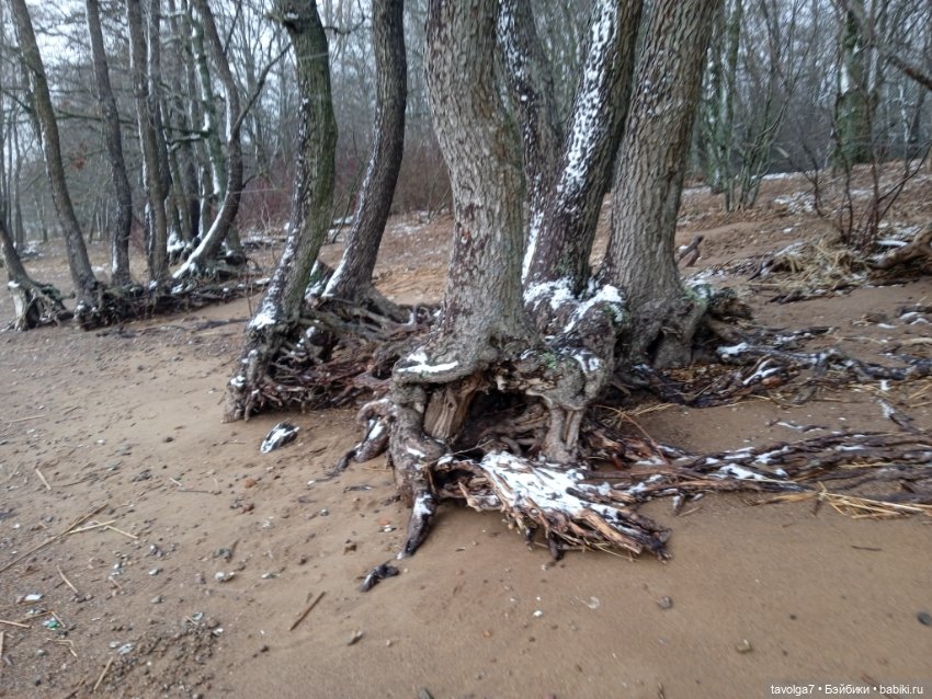 "Привносишь себя как реактив