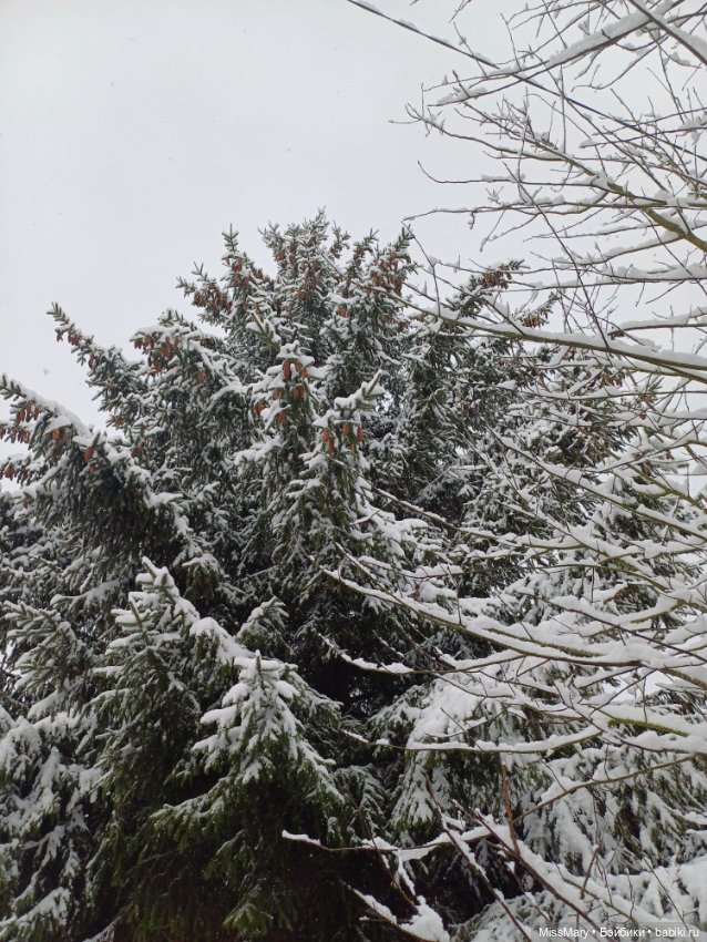 Волшебница зима — Красивая природа и цветы: фото пейзажей