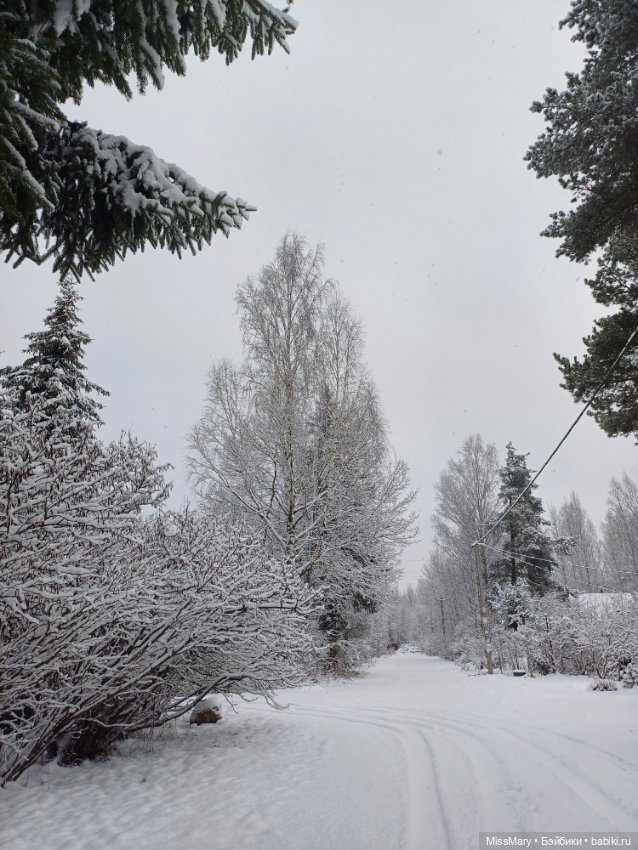 Волшебница зима — Красивая природа и цветы: фото пейзажей (фото 3)
