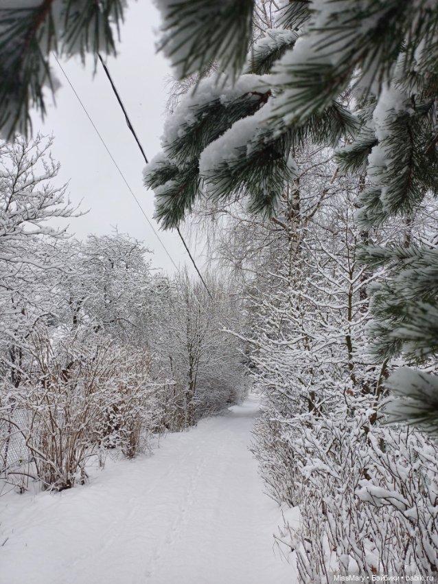 Волшебница зима — Красивая природа и цветы: фото пейзажей