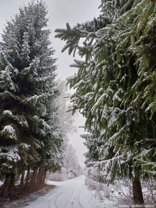 Волшебница зима — Красивая природа и цветы: фото пейзажей (фото 4)