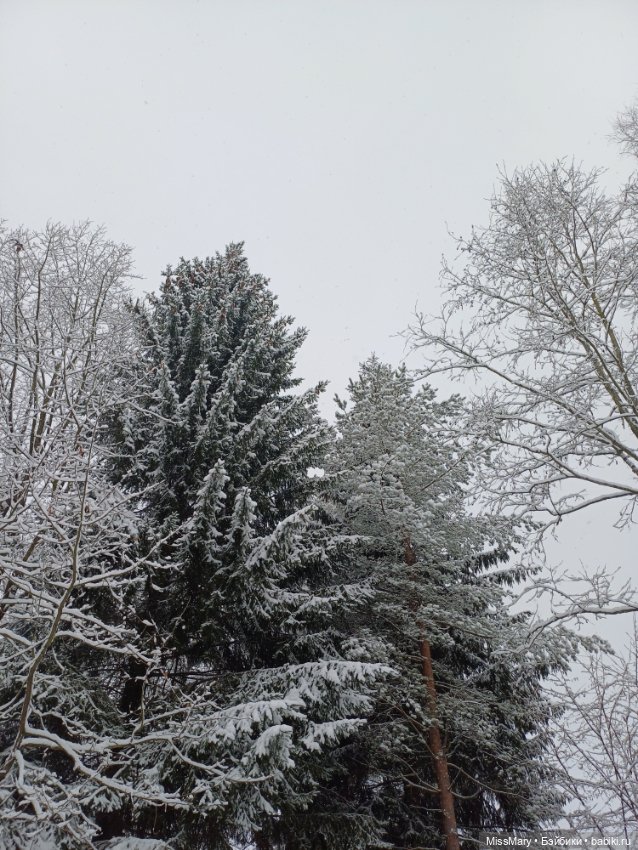 Волшебница зима — Красивая природа и цветы: фото пейзажей (фото 5)