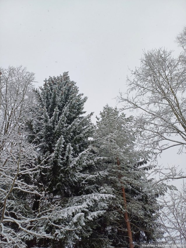 Волшебница зима — Красивая природа и цветы: фото пейзажей (фото 6)