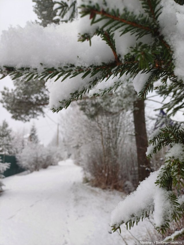 Волшебница зима — Красивая природа и цветы: фото пейзажей