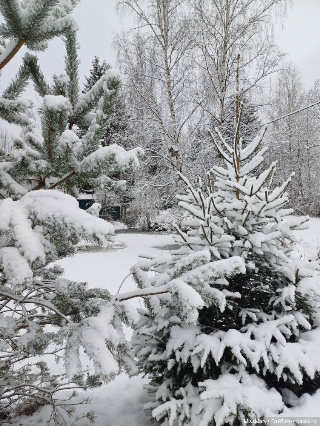 Волшебница зима — Красивая природа и цветы: фото пейзажей
