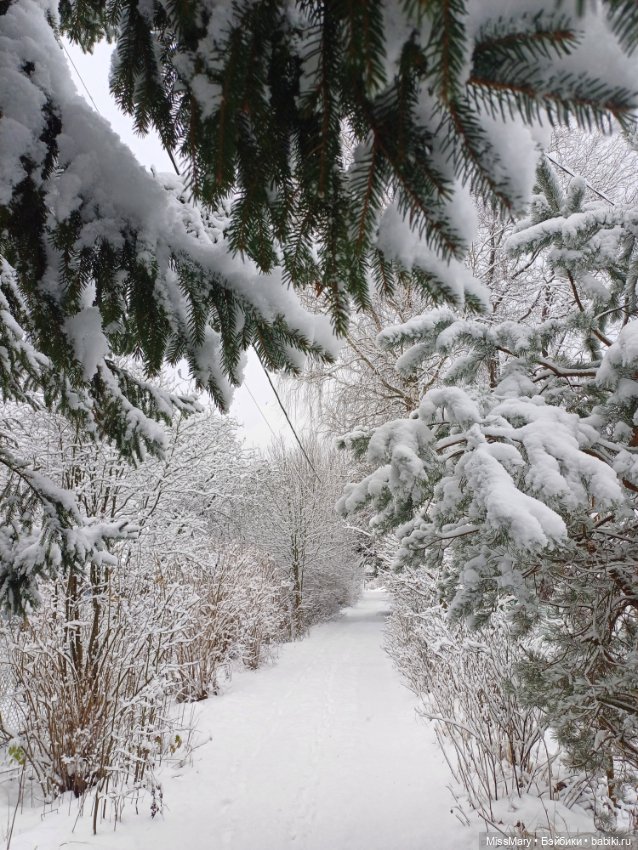 Волшебница зима — Красивая природа и цветы: фото пейзажей