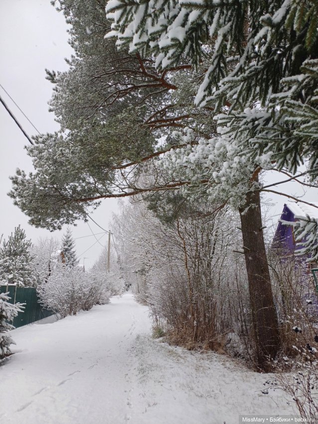 Волшебница зима — Красивая природа и цветы: фото пейзажей