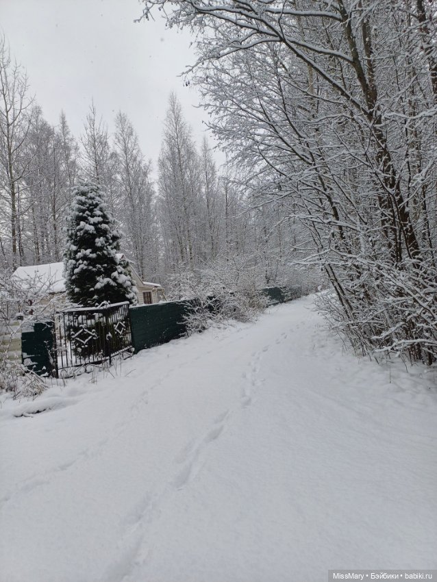 Волшебница зима — Красивая природа и цветы: фото пейзажей (фото 9)