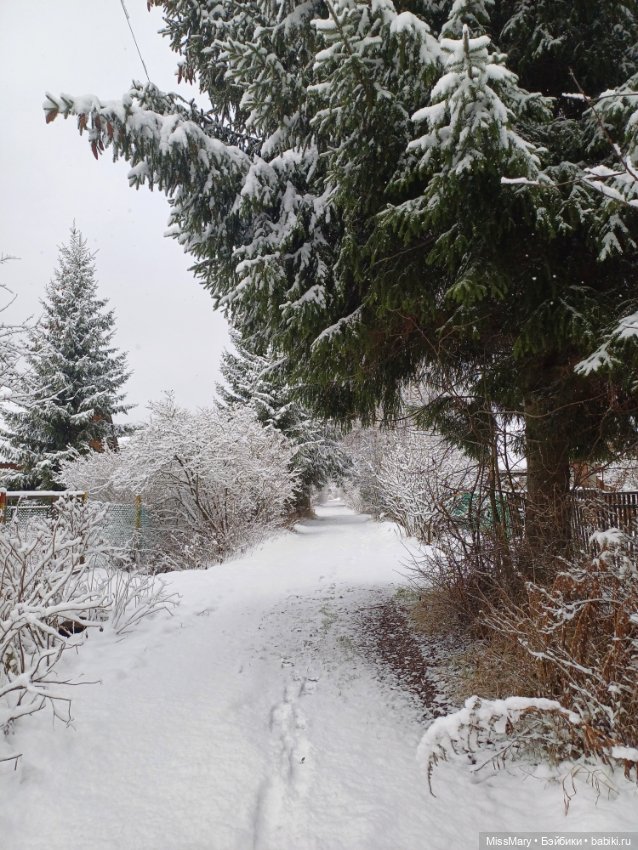 Волшебница зима — Красивая природа и цветы: фото пейзажей