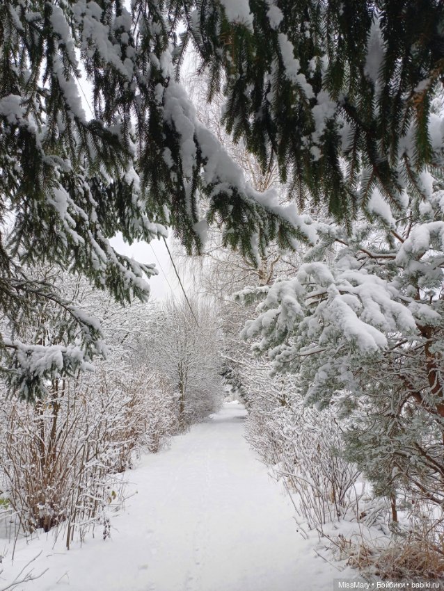 Волшебница зима — Красивая природа и цветы: фото пейзажей