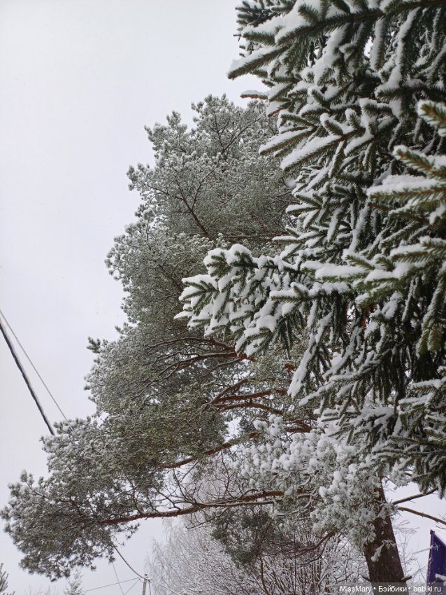 Волшебница зима — Красивая природа и цветы: фото пейзажей