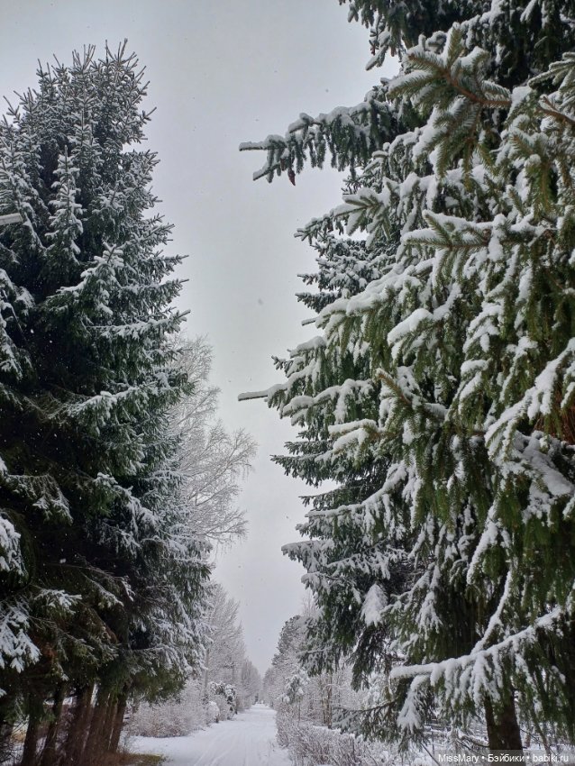 Волшебница зима — Красивая природа и цветы: фото пейзажей (фото 2)