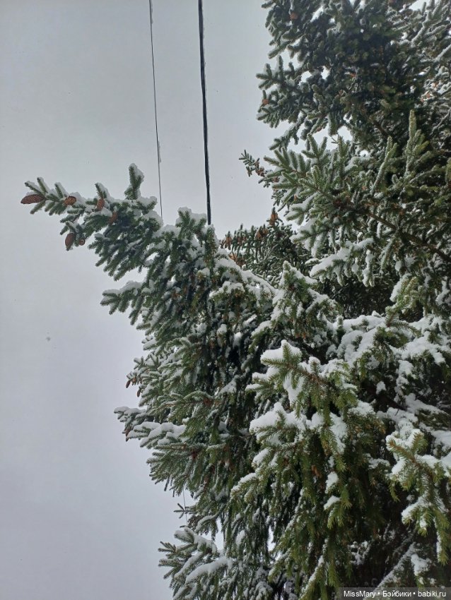 Волшебница зима — Красивая природа и цветы: фото пейзажей