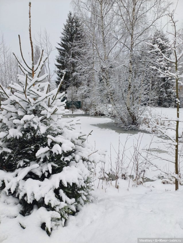 Волшебница зима — Красивая природа и цветы: фото пейзажей