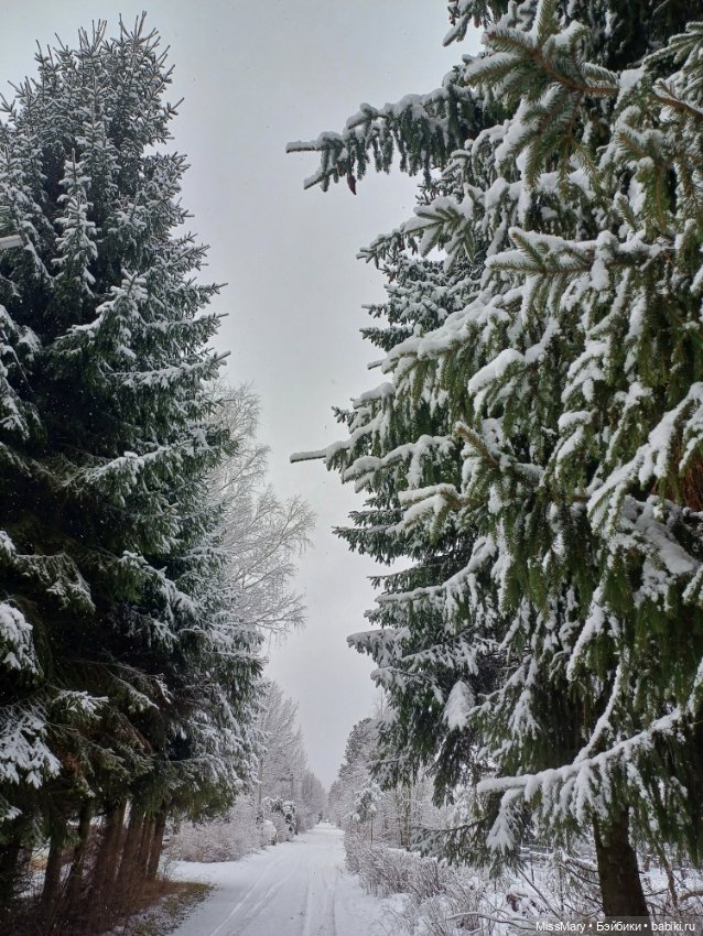 Волшебница зима — Красивая природа и цветы: фото пейзажей