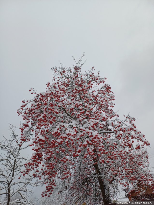 Волшебница зима — Красивая природа и цветы: фото пейзажей