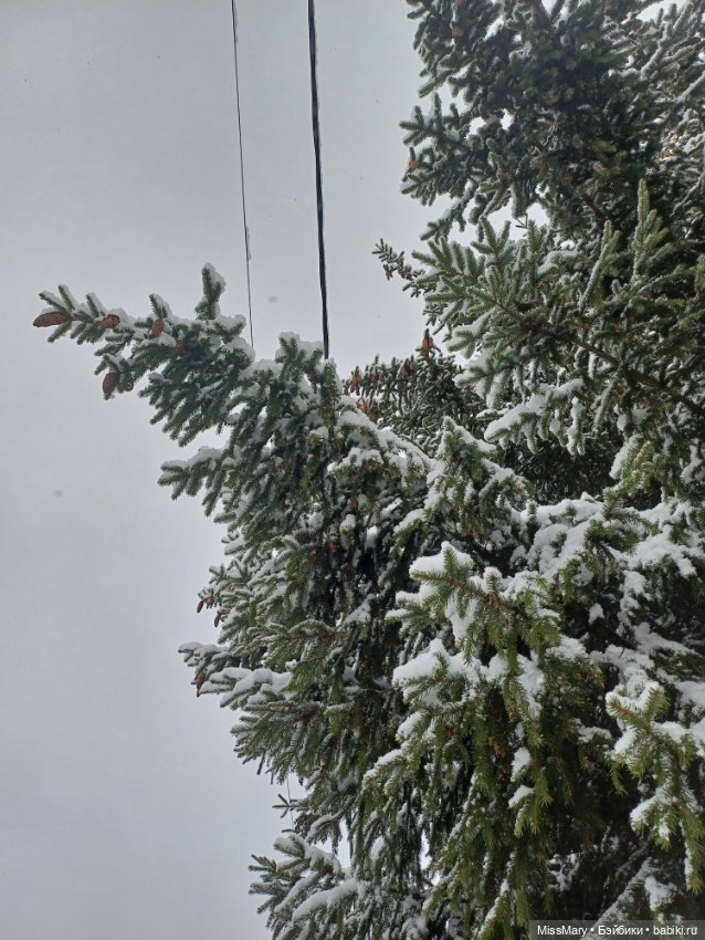 Волшебница зима — Красивая природа и цветы: фото пейзажей