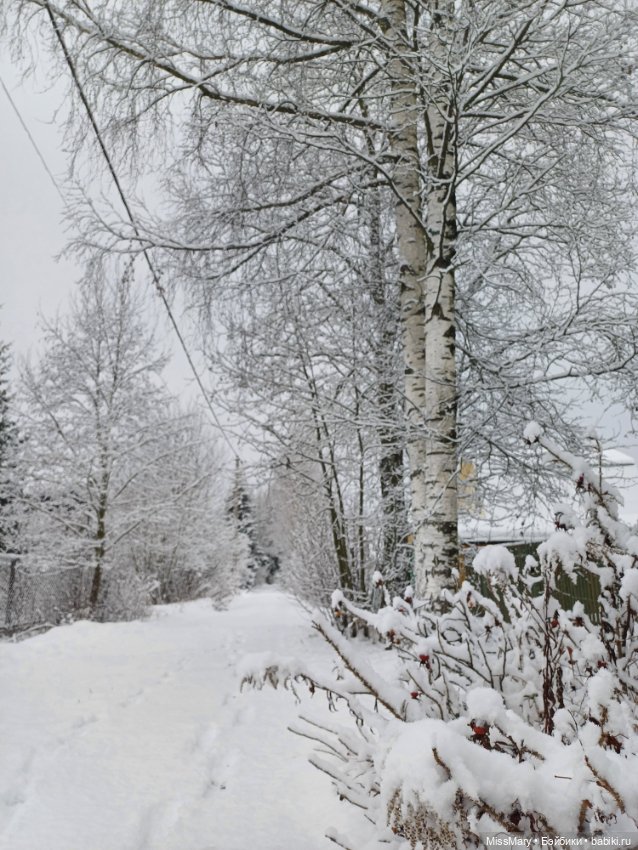 Волшебница зима — Красивая природа и цветы: фото пейзажей