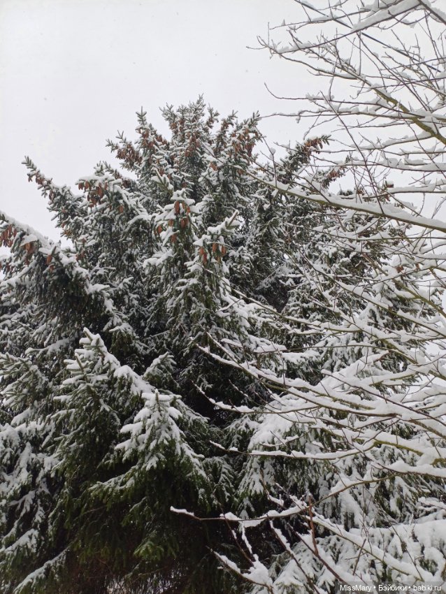 Волшебница зима — Красивая природа и цветы: фото пейзажей